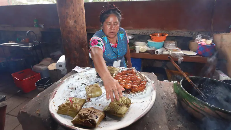OAXACA EN LOS PINOS